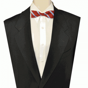 bow tie Bow ties are cool now!